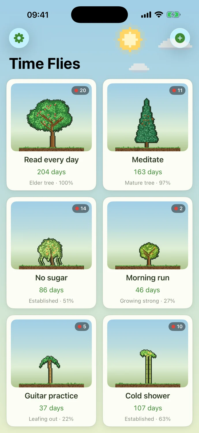 Time Flies: product image
